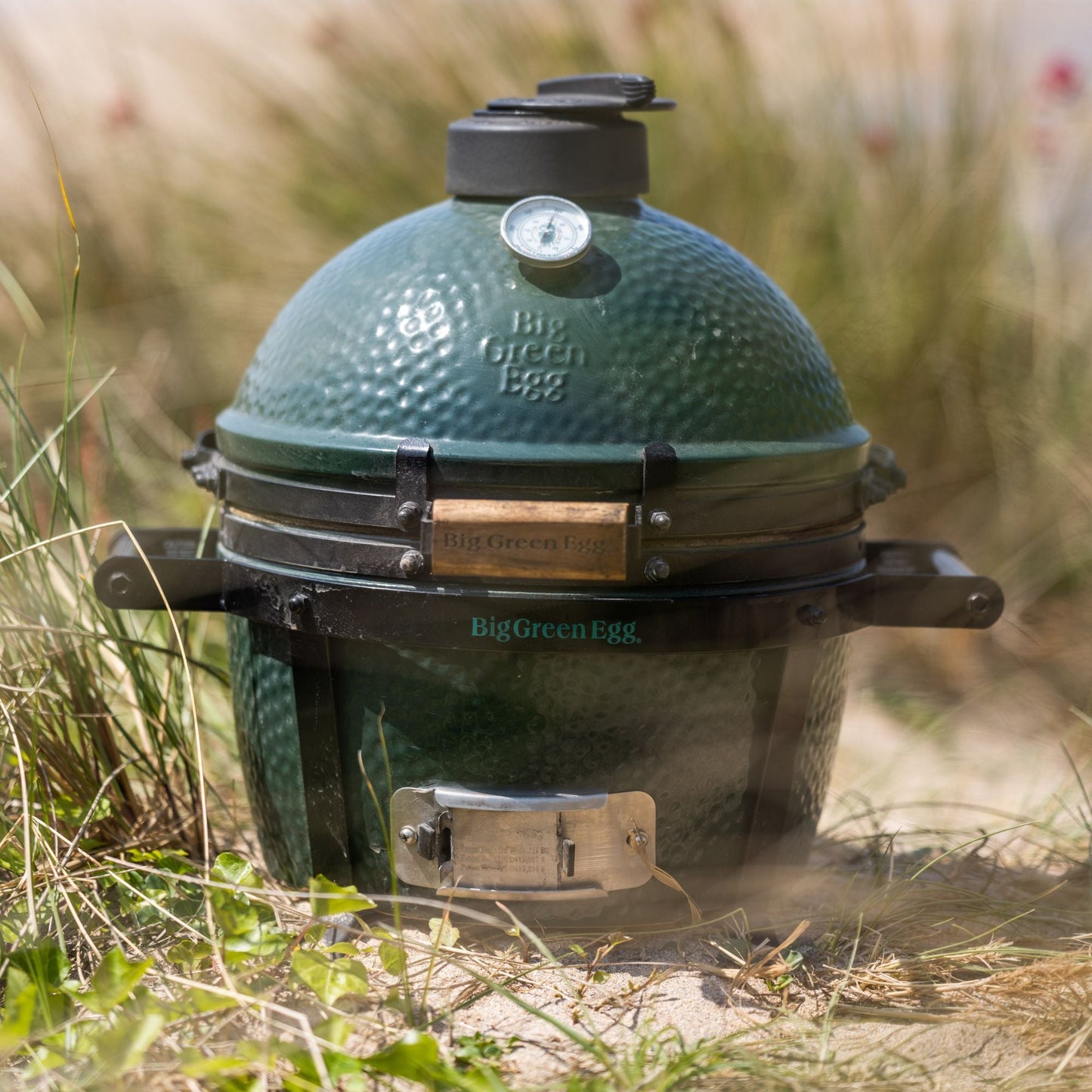 MiniMax Big Green Egg