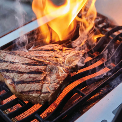 Napoleon Rogue SE 625 Propane Gas BBQ RSE625RSIBPSS-1 | Free Cover + Meat Lovers Kit